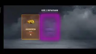 Кейс с перчатками! Четко закинуло! Модерн Опс