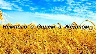 Немного о Синем и Жёлтом...