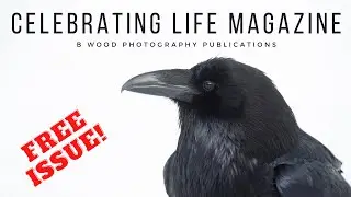 Celebrating Life Magazine | Free Issue!