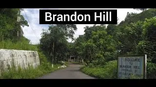 Brandon Hill, St Andrew, Jamaica