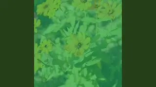 Gefuhle - Attraktiv Lesen