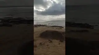 Ventnor Beach, Victoria, Australia