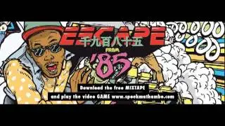 Spoek Mathambo ft. Cerebral Vortex - Cat Lady