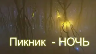 Пикник  -   НОЧЬ