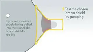 How to Choose the Right Breast Shield Size