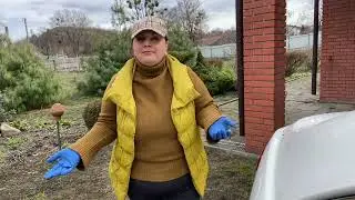 Обрізка черешні