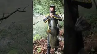 World record catches ancient catfish that is decades old 