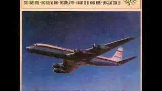 I Meteors • Tra Notte e Giorno (1965)