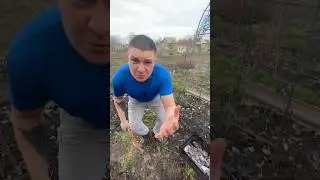 На шашлики коли йдем ?