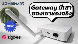 Zigbee Gateway มีเสา สัญาณแรงกว่าเก่า จาก Zemismart
