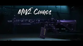 This is how the Master Camo looks in MW2  |  ALL CoD MW2 Camos