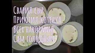 ВАРИЛ СЫР, КОРМИЛ ПОИЛ  ЗВЕРЕЙ. НЕКОГДА ПОКУШАТЬ.