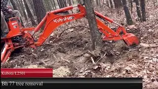 Kubota L2501 | compact tractor backhoe | tree Removal | BH 77