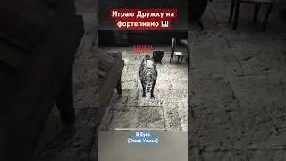 Играю дружку на 🎹 в Eyes