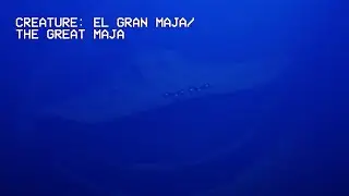 Sonidos de El Gran Majá