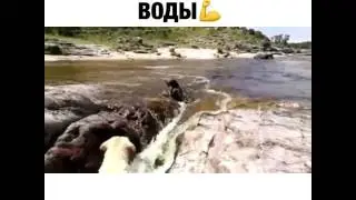 Вытащил друга из воды