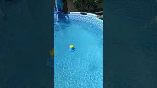 Самий економний варіант підігріву води в басейні літом