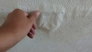 Examples of 'Salt Banding'