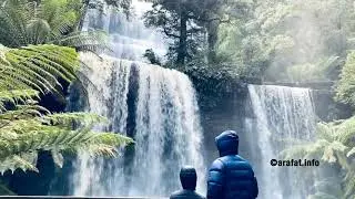 Mount Field national Park(3 falls), Tasmania, Australia