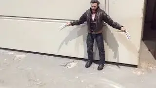 The Winter VS Wolverine