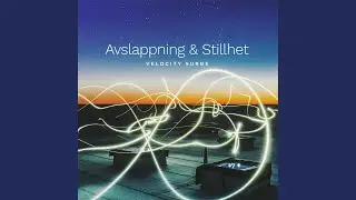 Velocity Surge