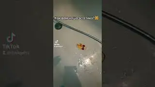 УТОЧКА ЛИЛИ И КЭТТИ СНИМАЮТ TIK TOK 