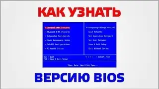 How do I find the BIOS version