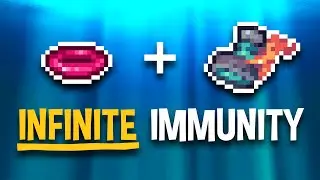 The Calamity accessory combo that is way too silly