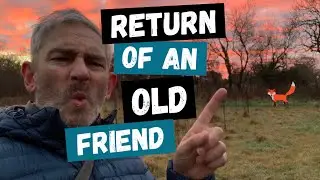 Return of an Old Friend... But Who Could It Be ?