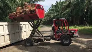 Caron Transporter - Palm Oil