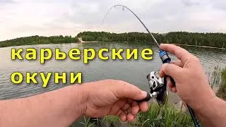 Рыбалка на карьере . Окуни на мормышку .