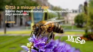 Città a misura d’ape - Il ruolo degli impollinatori per la conservazione degli ecosistemi