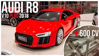 O ICONICO AUDI R8 V10 COM MAIS DE 600 CV !! - Audi R8 V10 Plus 2018