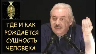 ✅ Н.Левашов: Где и как рождается Сущность (Душа) человека? Ответы на вопросы читателей