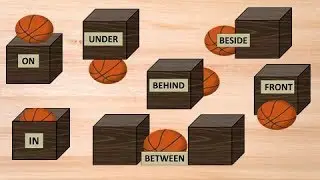 Where is the Ball. Let's Learn the Prepositions. On, In, Under, Between