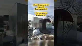 Коротком о том как мы строили грибницу! #шампиньоны #грибы #бизнес #вгараже