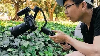 Zhiyun Crane 2 Product Overview by Georges Cameras