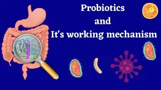 Probiotic and it's working mechanism/ fstonline/ By Sonal Chaudhari