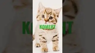 А ТЫ ЗАКОГО ТЫ?