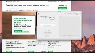 Instructions for GoDaddy DDNS configuration with RealDNS