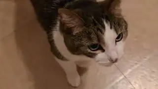 Rose being cute and affectionate