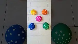 Pink Yellow Green Blue Orange Water Balloon Color 