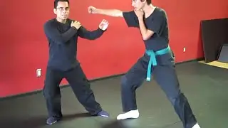 Exploring the Bujinkan movement.