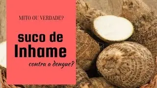 Mito ou verdade: suco de inhame impede a infecção da dengue?