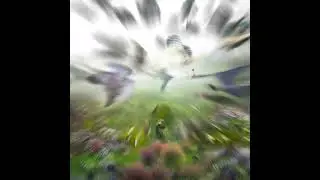 Baitball