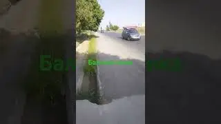 20 августа 2024 г.