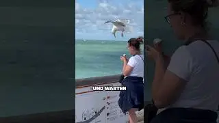 VERSTECKT EUER ESSEN