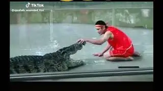 Extremely Dangerous Man and Crocodile Encounter TikTok: spsaheb