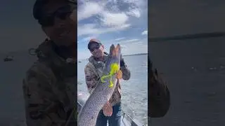 Лови на «BRIALIN»                       #рыбалка #щука #спиннинг