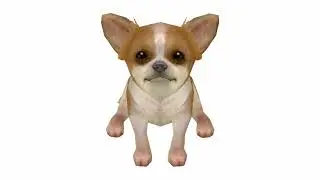 cute nintendogs tunes to walk your dog to
